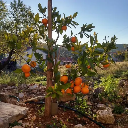 Apartament Stone House Vrtli Žman